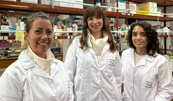 Científicas argentinas desarrollaron una venda que acelera la cicatrización