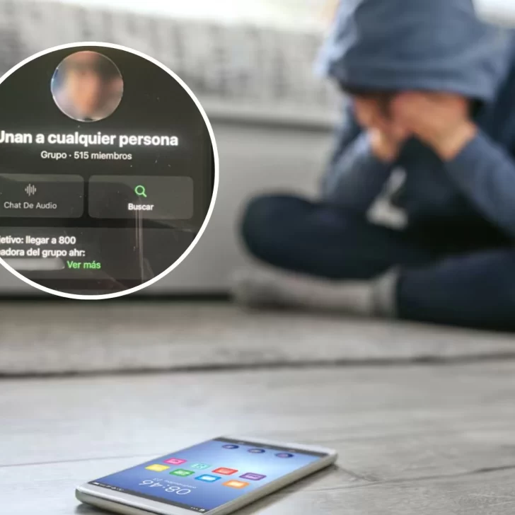 Allanamiento en Río Gallegos por distribución de imágenes de abuso infantil en WhatsApp: un menor de 12 años fijó domicilio