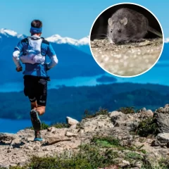 Murió un hombre de 38 años por hantavirus en San Martín de los Andes e investigan si se contagió durante una carrera de trail