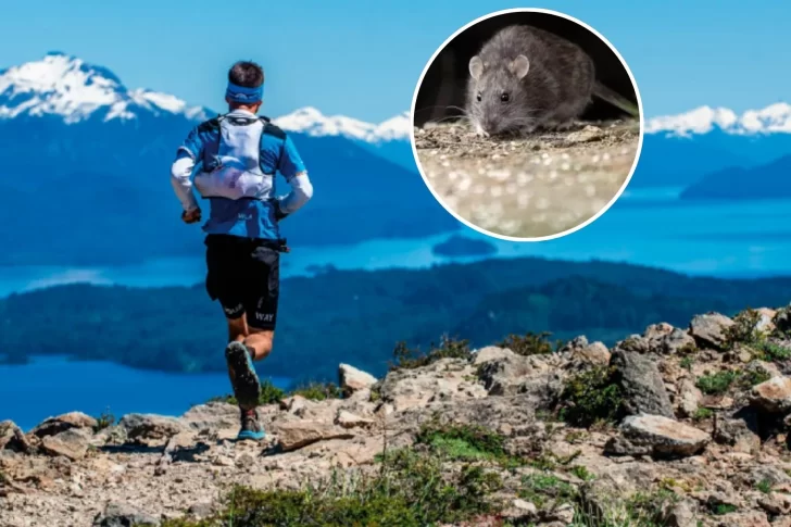 Murió un hombre de 38 años por hantavirus en San Martín de los Andes e investigan si se contagió durante una carrera de trail