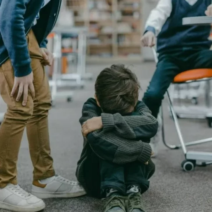 “Decile a mi hermano que les pegue un tiro”, la inquietante frase de un alumno de 6 años en una escuela de Santa Cruz