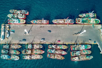 Sigue la crisis en la pesca y crece la preocupación en los puertos