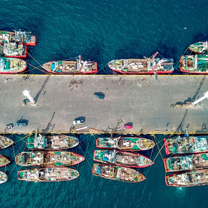Sigue la crisis en la pesca y crece la preocupación en los puertos