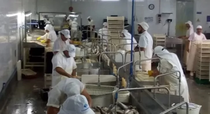  Hay muy poca actividad en las plantas procesadoras de Mar del Plata.