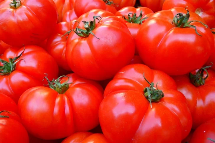  El tomate fue el producto que más subió en marzo en la Patagoniaa: más que duplicando su valor.