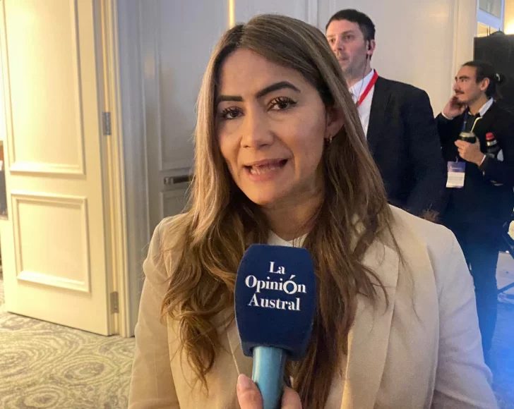 Ficha Limpia: El día que la senadora Sonia Rojas Decut habló con La Opinión Austral