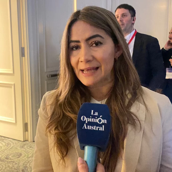 Ficha Limpia: El día que la senadora Sonia Rojas Decut habló con La Opinión Austral