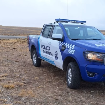 Robaron y despostaron 20 ovejas de una estancia ubicada a kilómetros de Río Gallegos