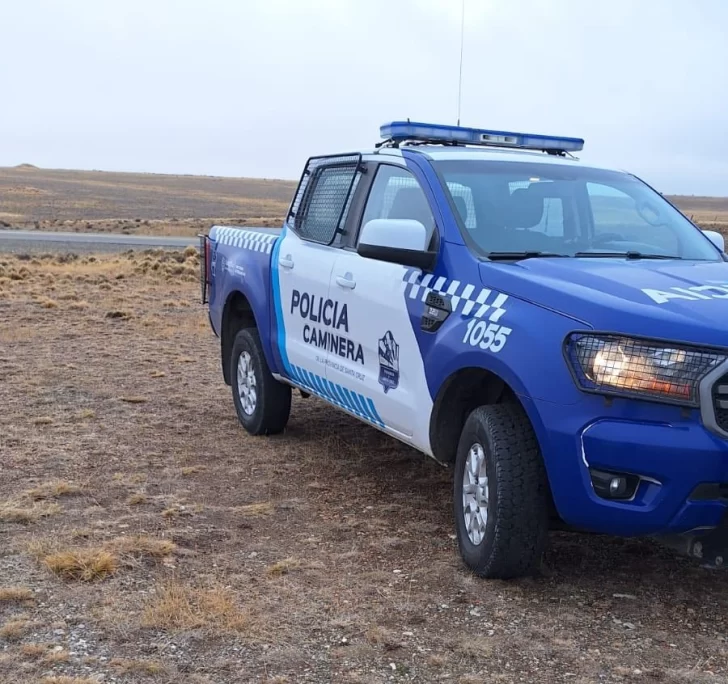 Robaron y despostaron 20 ovejas de una estancia ubicada a kilómetros de Río Gallegos
