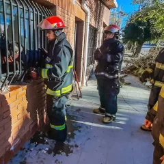En menos de 24 horas, bomberos rescataron a dos animales: uno de ellos estaba entre vidrios rotos y una reja