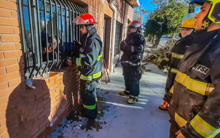 En menos de 24 horas, bomberos rescataron a dos animales: uno de ellos estaba entre vidrios rotos y una reja