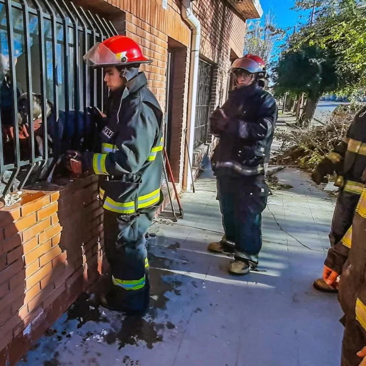 En menos de 24 horas, bomberos rescataron a dos animales: uno de ellos estaba entre vidrios y una reja