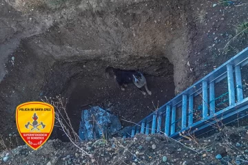 En Río Gallegos: rescataron a un perro que cayó a un pozo de cuatro metros