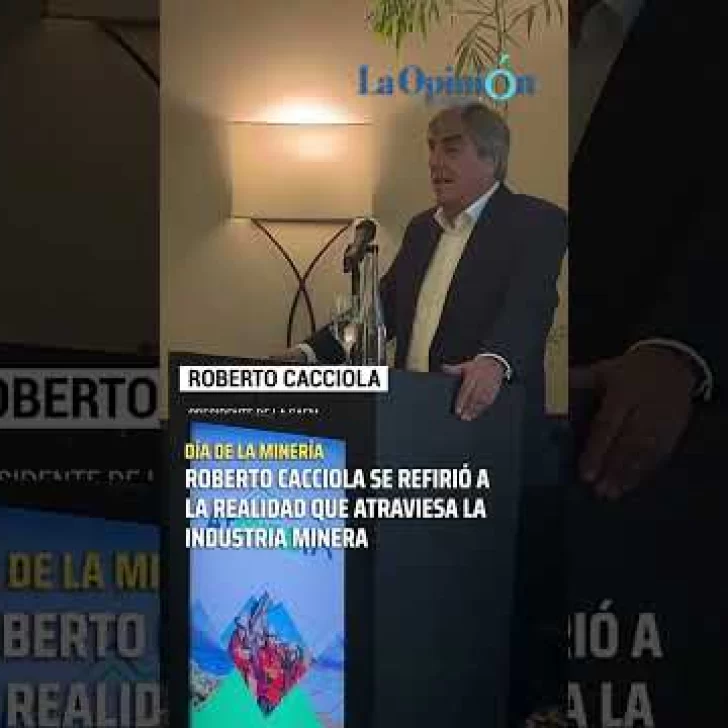 “Si no fuera por el precio del oro y la plata, de los 9 proyectos en producción quedarían solo 2”