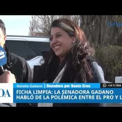 Ficha Limpia: la senadora Gadano habló de la polémica entre el PRO y La Libertad Avanza