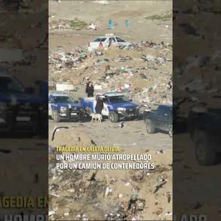 Tragedia en el basural: un indigente  murió atropellado por un camión de contenedores