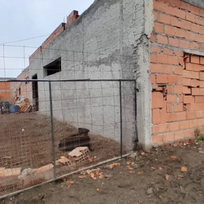 Ataque y muerte entre perros: “Lo empezó a morder, hasta comerle todo el cuello”
