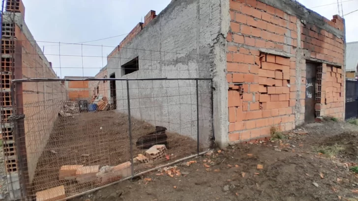Ataque y muerte entre perros: “Lo empezó a morder, hasta comerle todo el cuello”