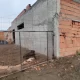 Ataque y muerte entre perros: "Lo empezó a morder, hasta comerle todo el cuello"