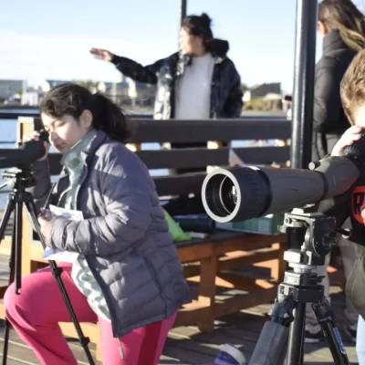 Concientización y avistaje: celebraron el Día Internacional de las Aves Migratorias