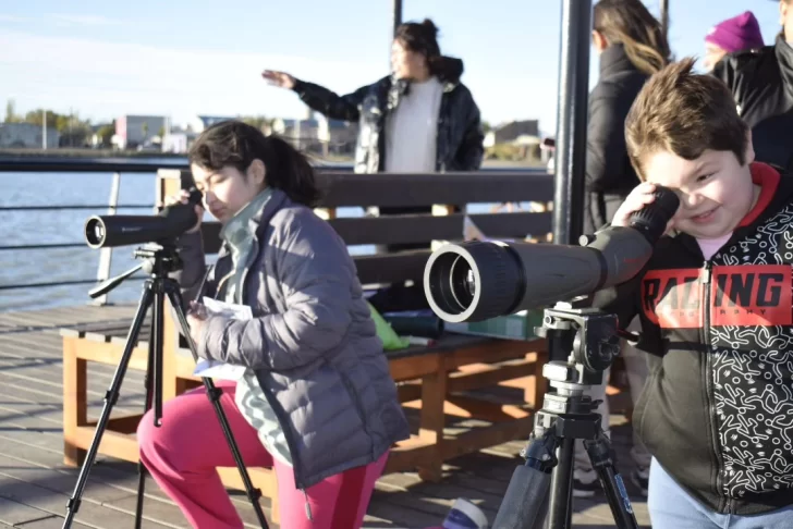 Concientización y avistaje: celebraron el Día Internacional de las Aves Migratorias