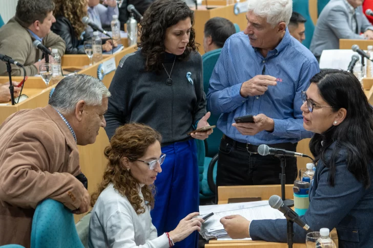Los diputados de la oposición debatieron el proyecto electoral. FOTO: LEANDRO FRANCO/ LA OPINIÓN AUSTRAL Los diputados de la oposición debatieron el proyecto electoral. FOTO: LEANDRO FRANCO/ LA OPINIÓN AUSTRAL