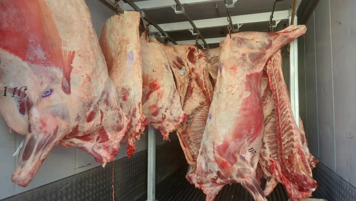 CARNICERIA-LAS-HERAS-4-728x410 CARNICERIA-LAS-HERAS-4-728x410