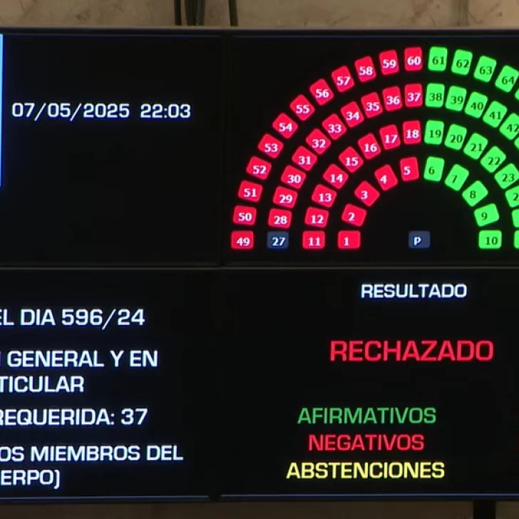 El Senado rechazó Ficha Limpia