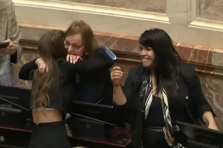 El festejo de Alicia Kirchner tras el rechazo de Ficha Limpia en el Senado