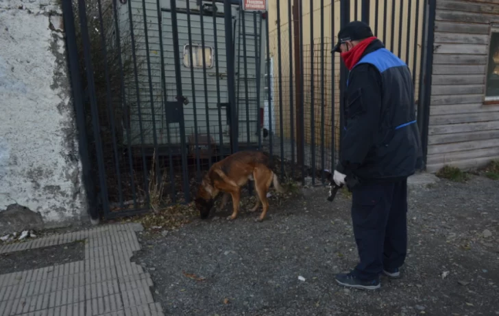  Un perro marcando la casa de la última pareja de Marcela López.
