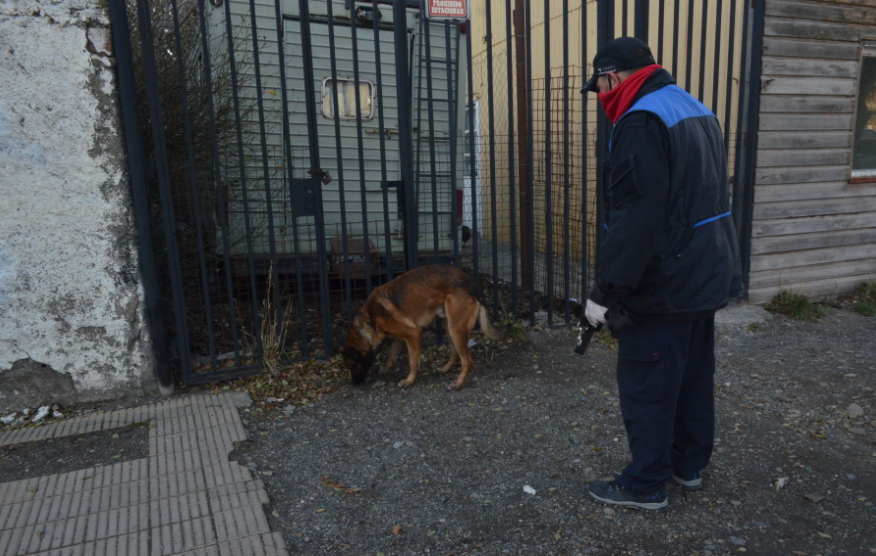  Un perro marcando la casa de la última pareja de Marcela López.