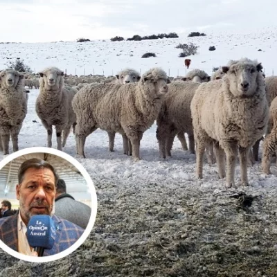 Ingreso de carne con hueso a la región: “No se puede castigar a la Patagonia por tener el mejor estatus del mundo”
