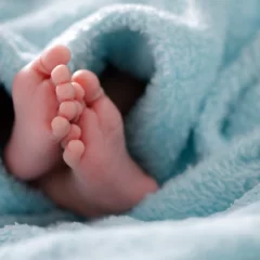 Otro informe confirma la fuerte baja de la natalidad en Santa Cruz