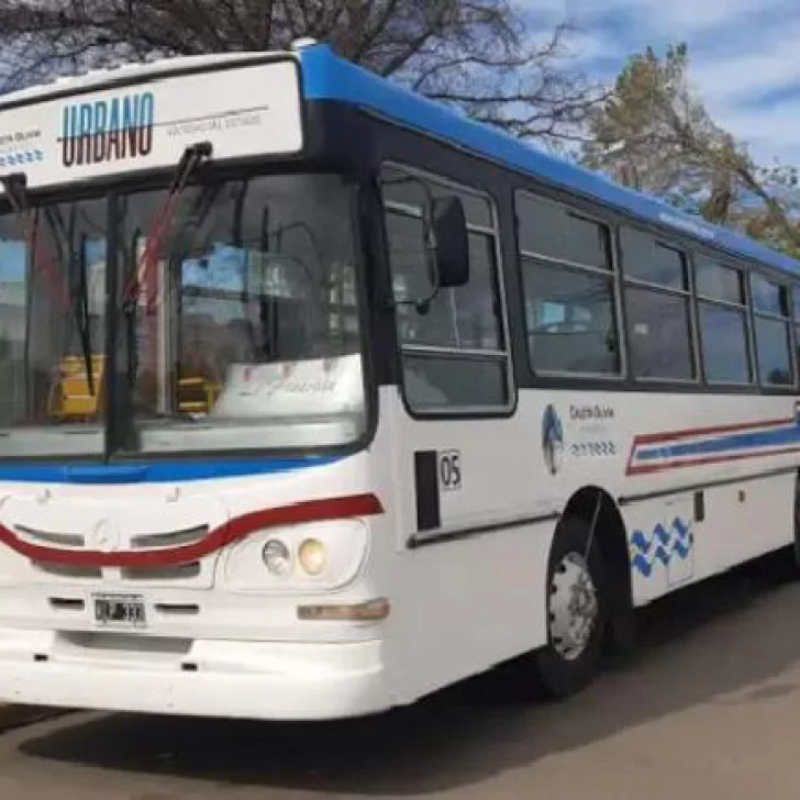 Una mamá denunció que una pasajera del colectivo Urbano agredió a su hijo autista