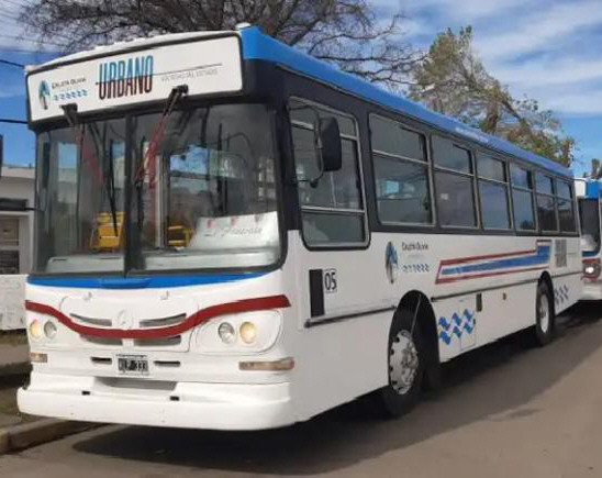Una mamá denunció que una pasajera del colectivo Urbano agredió a su hijo autista