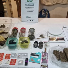 Los acusaron de ser vender droga por Telegram, les hallaron más de un kilo de marihuana pero no se acreditó que eran “dealers”