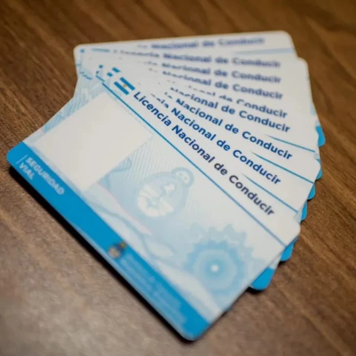 Tránsito secuestró más de 10 carnets de conducir “truchos”