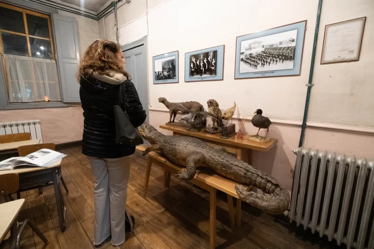 NOCHE-DE-LOS-MUSEOS_MARIA-AUXILIADORA-08697-728x485 NOCHE-DE-LOS-MUSEOS_MARIA-AUXILIADORA-08697-728x485