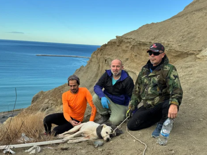 Video. Salvaron a una perra atrapada en el Cerro Chenque: así fue el dramático rescate en una ladera con riesgo de derrumbe