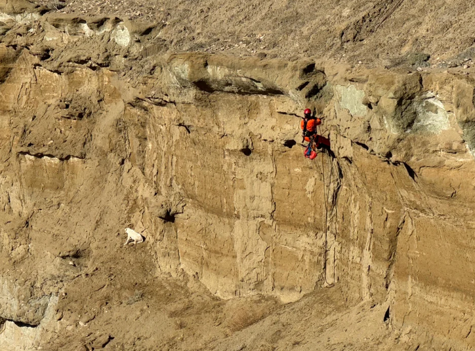 Video. Salvaron a una perra atrapada en el Cerro Chenque: así fue el dramático rescate en una ladera con riesgo de derrumbe