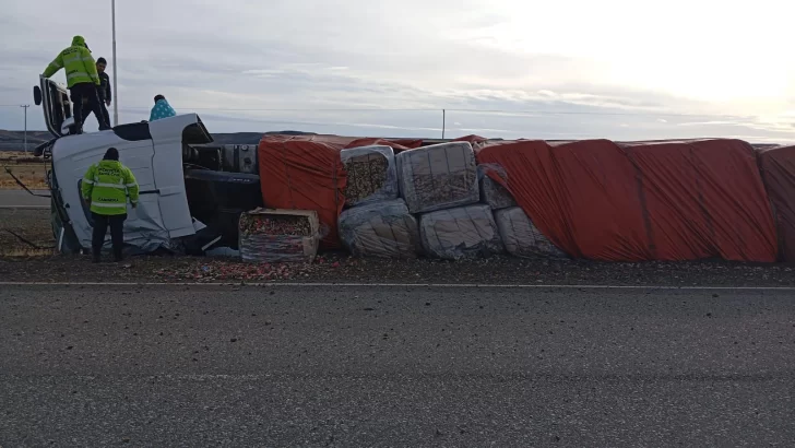 Volcó un camión en la ruta cerca de Río Gallegos