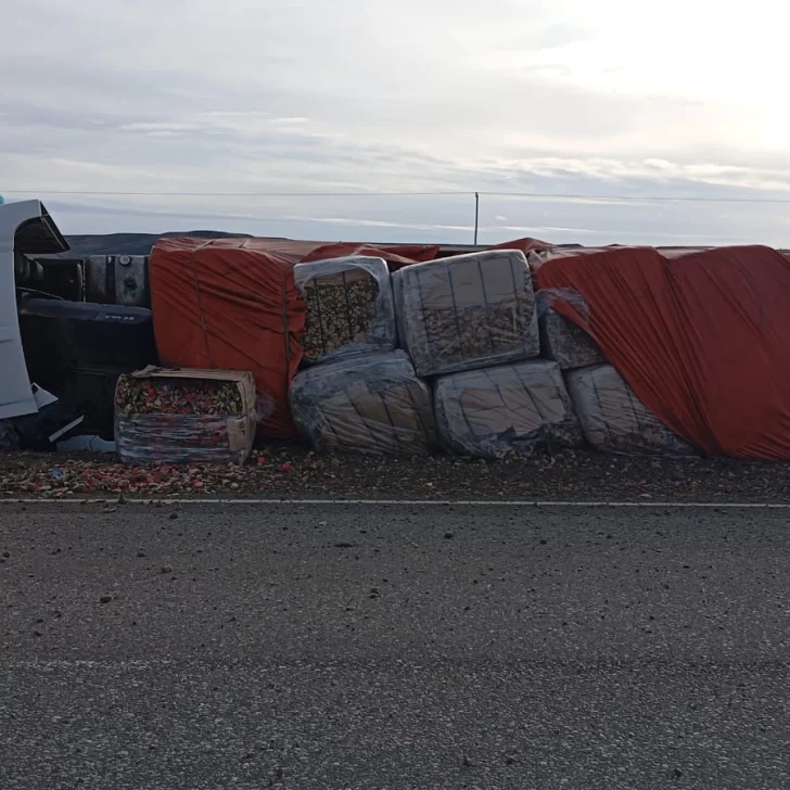Volcó un camión en la ruta cerca de Río Gallegos