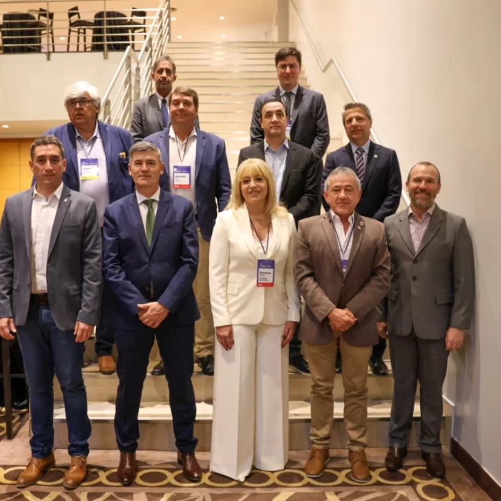 Grasso participa del primer encuentro del Consejo Federal de Intendentes