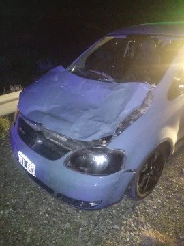 Un guanaco se le cruzó en la Ruta N°3 y lo embistió: se salvó de milagro