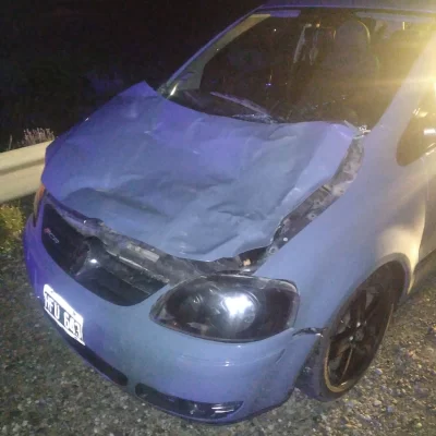 Un guanaco se le cruzó en la Ruta N°3 y lo embistió: se salvó de milagro