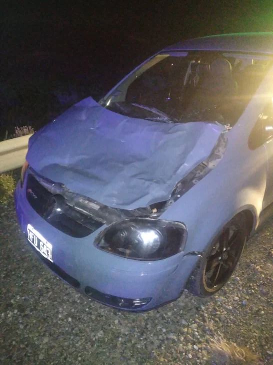 Un guanaco se le cruzó en la Ruta N°3 y lo embistió: se salvó de milagro