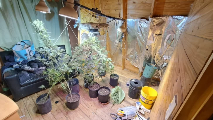 El indoor que fue encontrado dentro de una morada. (FOTO: POLICÍA SANTA CRUZ) El indoor que fue encontrado dentro de una morada. (FOTO: POLICÍA SANTA CRUZ)