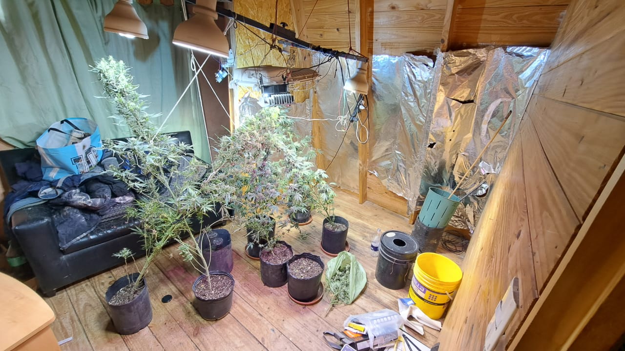  El indoor que fue encontrado dentro de una morada. (FOTO: POLICÍA SANTA CRUZ)