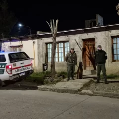 Gendarmería allanó la casa de un hombre que hacía “delivery” de drogas: hallaron cocaína y marihuana