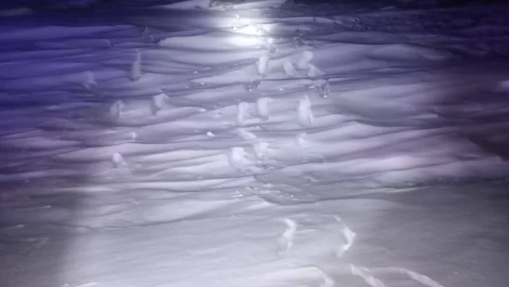 Las huellas de Thiago en la nieve. (FOTO: POLICÍA SANTA CRUZ) Las huellas de Thiago en la nieve. (FOTO: POLICÍA SANTA CRUZ)